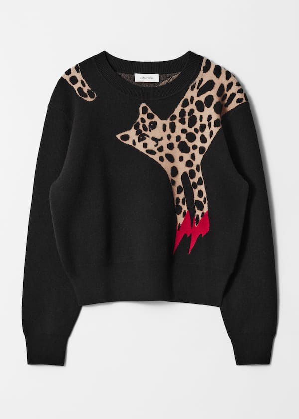 Long-Sleeve Knit Sweater
